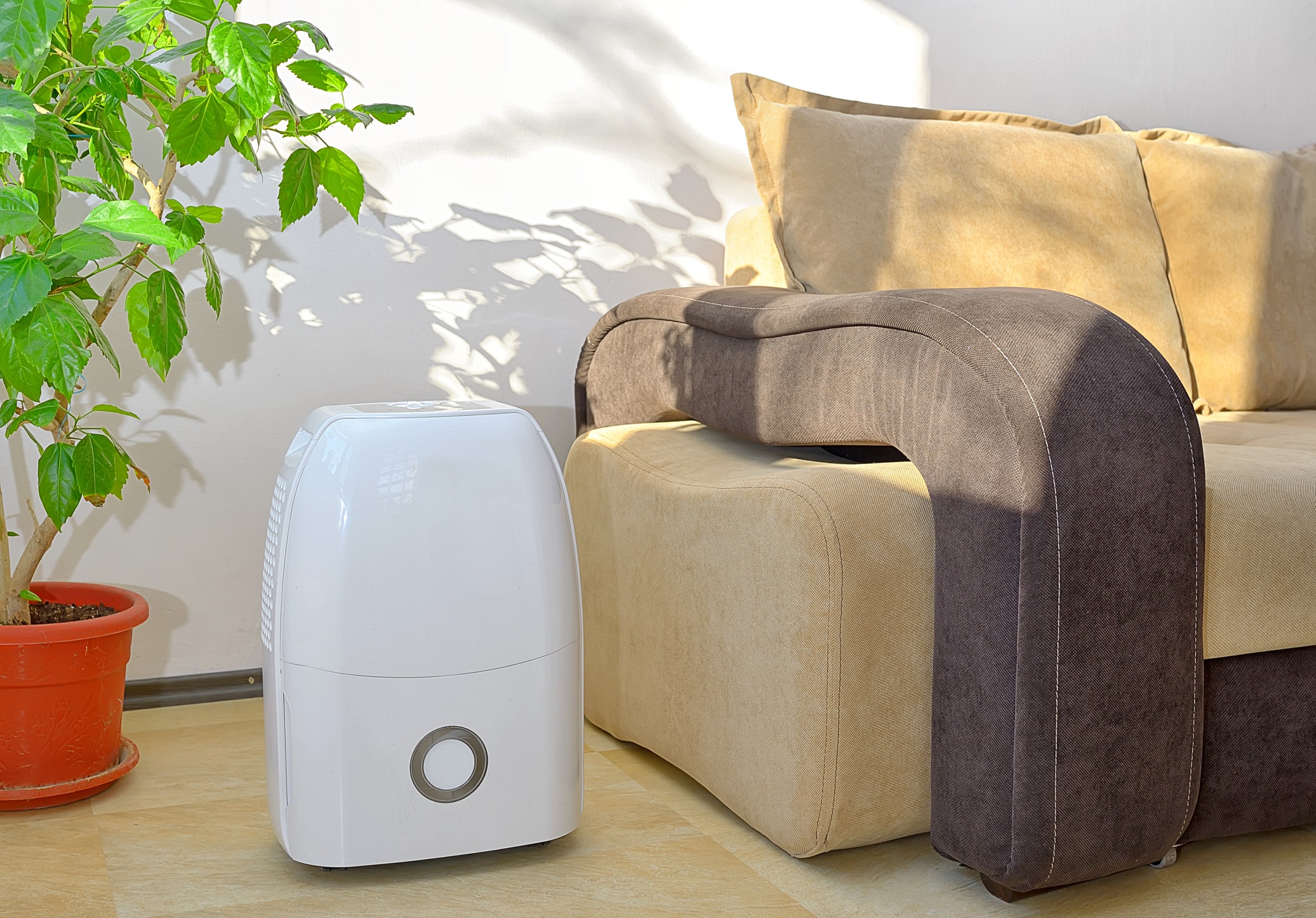 Tips & Solutions for Improving Indoor Air Quality During Summer